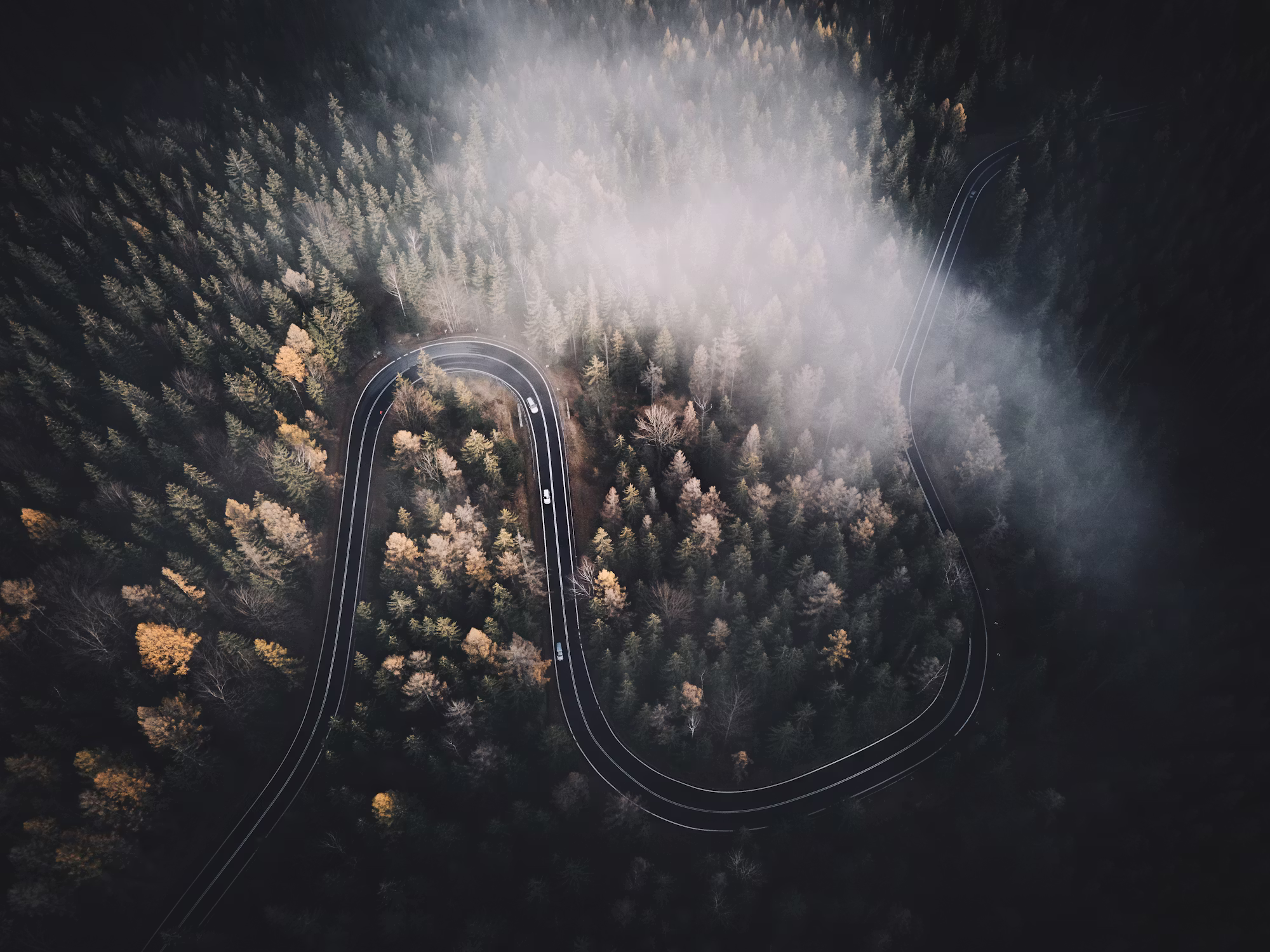Navigating the Future of Autonomous Blog Vehicles